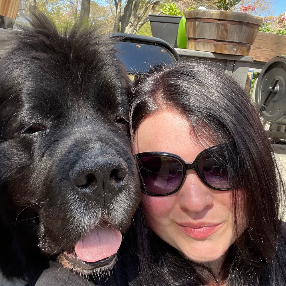 Meet your Posher, Liz